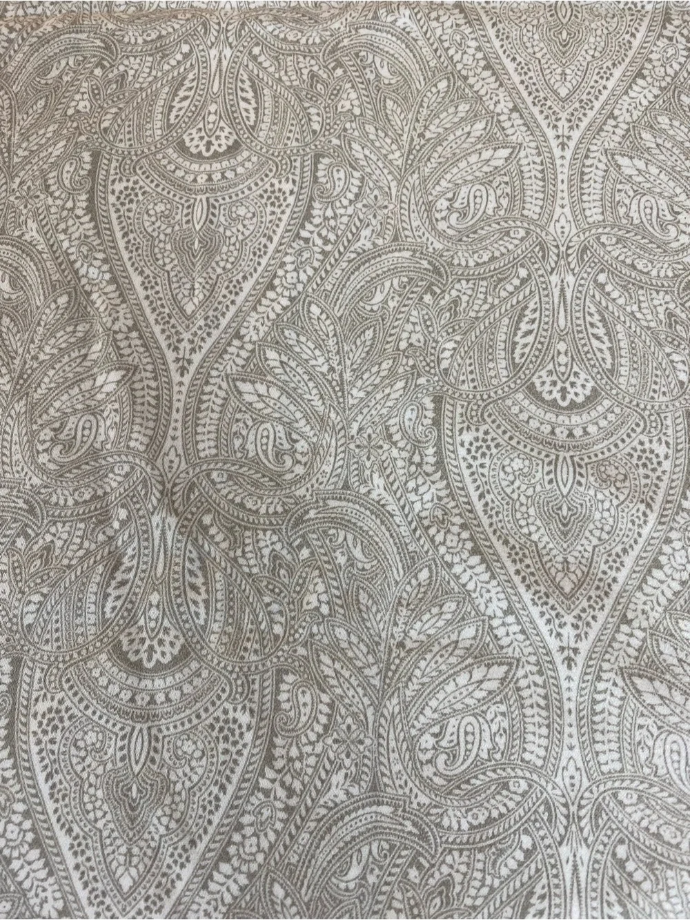 Decorative Paisley Pillow Sham Pair in Light Taupe